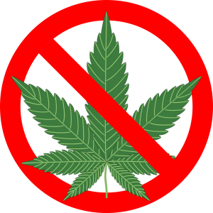 cannabis-1254745_1280